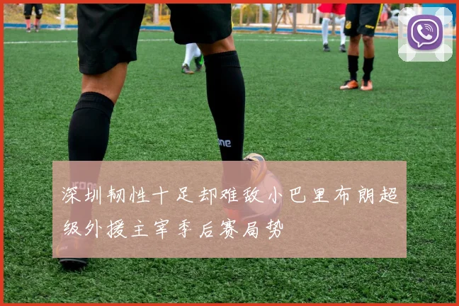 深圳韧性十足却难敌小巴里布朗超级外援主宰季后赛局势