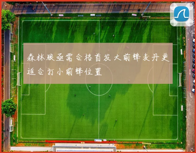 森林狼亟需合格首发大前锋麦丹更适合打小前锋位置